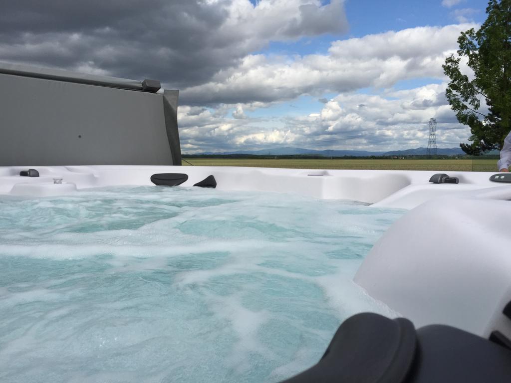 NambsheimL'Atelier 4 Stars Luxury, Hot Tub, Pool别墅 客房 照片